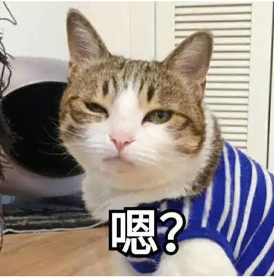 DƬ